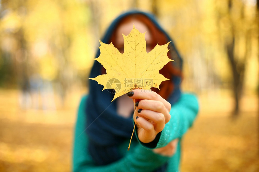 秋天女孩拿着黄色的绿叶有选择焦点秋天有选择的焦点图片