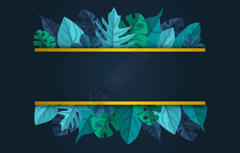绿色热带植物夏季叶边框背景图片