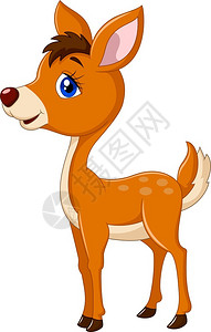 食草小鹿摄影卡通可爱小鹿插画