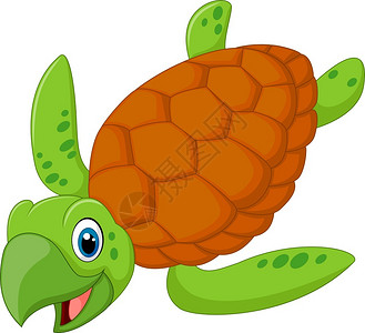 笑的漫画海龟背景图片