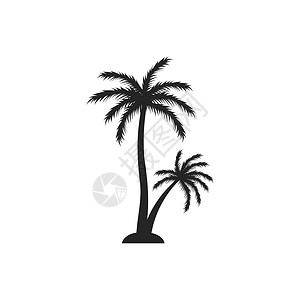亚热带季风气候黑色棕榈树剪影图形设计设计图片