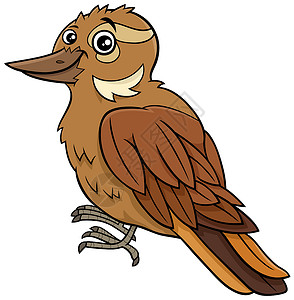 漫画插图滑稽的Xenops鸟类动物格图片