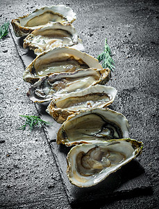 海产食品生牡蛎牡蛎牡蛎牡蛎养图片