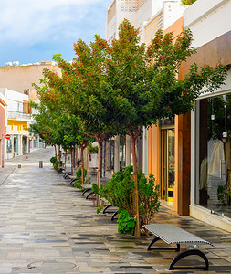 在中央旅游区Paphos有绿树的Cyprus图片