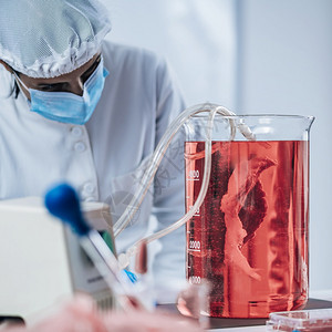 在实验室中种植合成肉的生物技术工艺图片