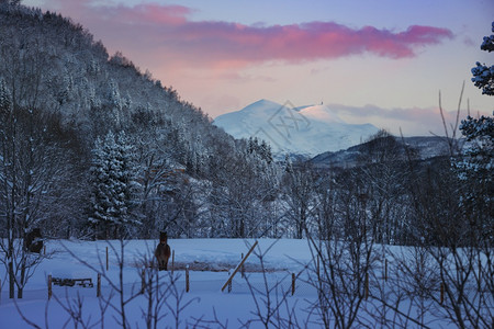 美丽的山谷雪景图片