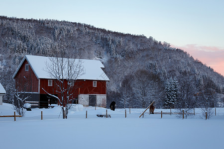 美丽的雪地村庄图片