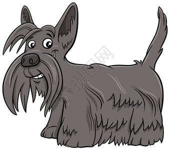 阿伯丁郡苏格兰茶地纯种狗动物特点的漫画插图插画