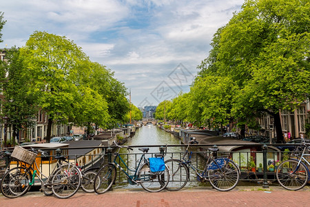 夏季日在阿姆斯特丹河内湿地运的桥上骑自行车图片