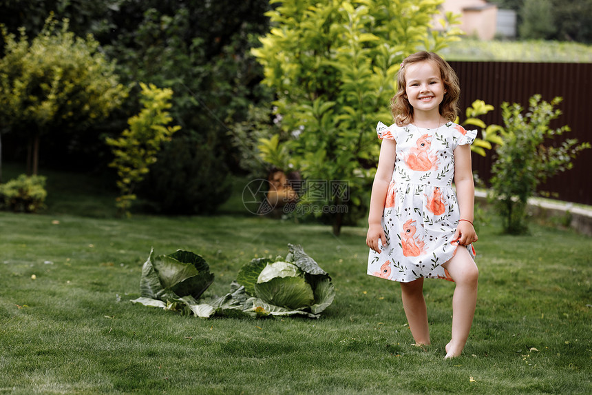 可爱的小女孩在草地上家户外有卷心菜还在家户外图片