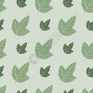 淡绿色树叶无缝模式良种大小不一颜色不同的叶子图案在淡绿色背景上插画