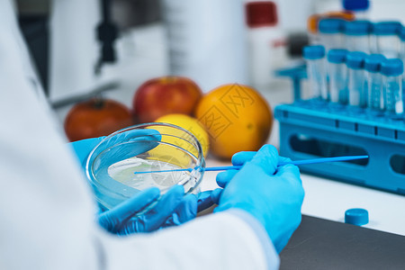 在微生物实验室进行食品安全检测微生物学家在实验室进行营养麻醉剂喷射寻找病原体和腐蚀迹象背景图片