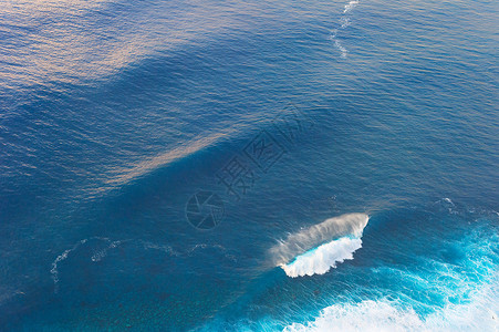 鲸鱼与海马鸟眼观亚特兰海马吉拉岛脚印背景