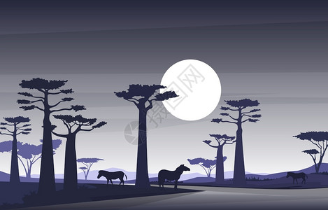 森林与大草原非洲野生物图解设计图片