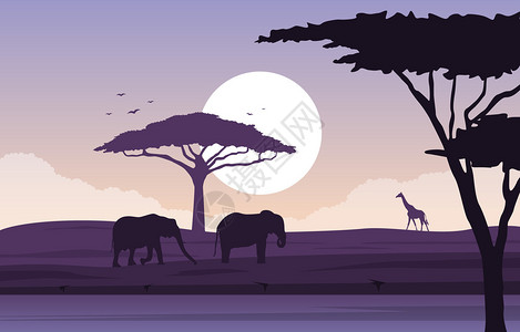 大象水非洲野生动物大象长颈鹿剪影插画
