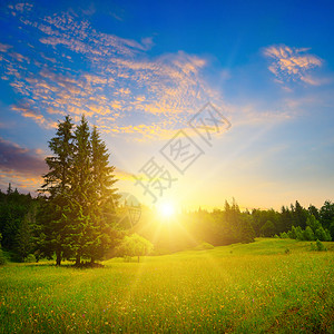 夏日的喀尔巴阡森林和草地美丽的夕阳喀尔巴阡山脉乌黑背景图片