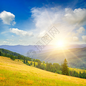 夏日的喀尔巴阡森林和草地美丽的夕阳喀尔巴阡山脉乌黑背景图片