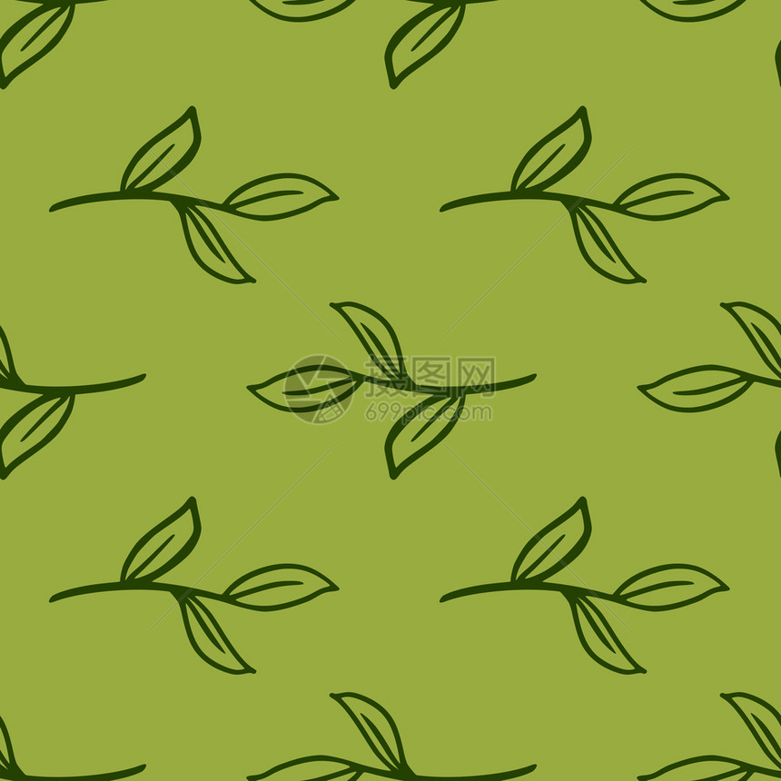 绿色无植物图案带有简单的轮廓叶枝图片