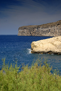 戈佐岛的麦尔塔屿海岸观重点是植物图片