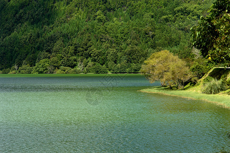 在SaoMiguel岛的azores绿湖图片