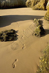 海滩上湿沙的脚印图片