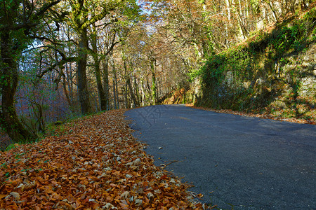 葡萄牙的道路风景图片