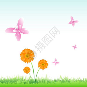 用蝴蝶环飞的矢量花插图图片