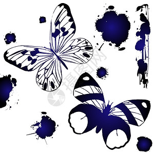 白色背景的装饰墨油蝴蝶图片