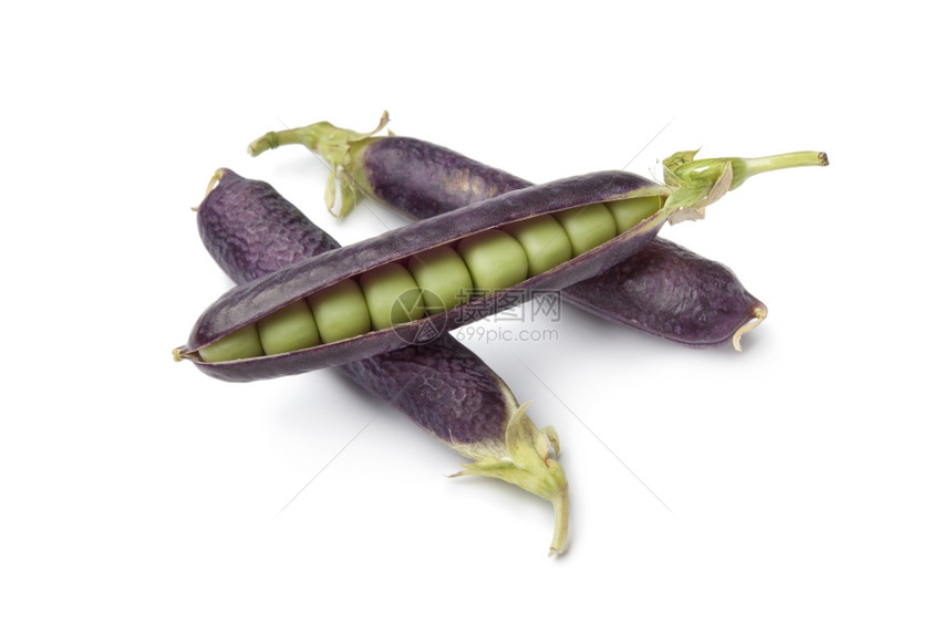 白色背景的紫豆子新鲜图片