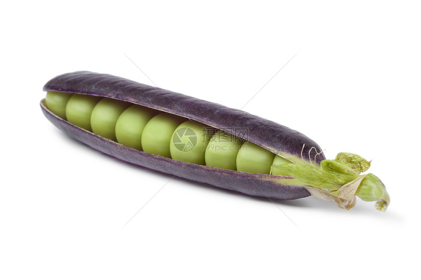 白色背景的紫豆子新鲜图片