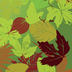 树叶图示矢量艺术背景图片