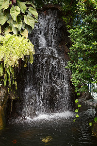 日本花园瀑布和池塘图片