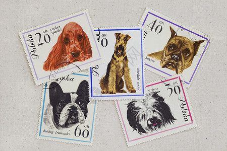 在取消的波兰邮票上随意贴在艺术家棉花画布上高清图片
