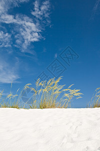 蓝天上沙丘草图片