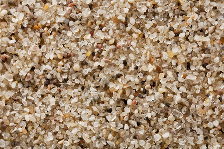 4倍于生命量放大度的石英沙粒来自科罗拉多大沙丘公园的样本图片