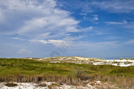 佛罗里达靠近海洋的沙丘背景图片