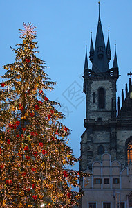 在布拉格的圣诞树在犹太教堂前图片