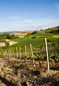 意大利皮埃蒙特地区Monferrato地区景观背景图片