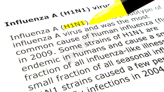 H1N流感图片