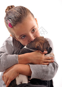 小女孩和她的纯种小狗杰克图片
