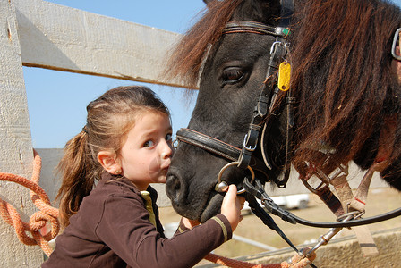 小女孩接吻和纯种雪特兰小马高清图片