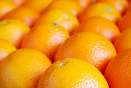 橙子行矢量eps10插图橙子图片