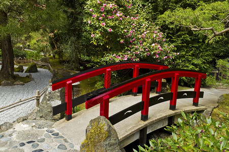 日本花园红桥图片