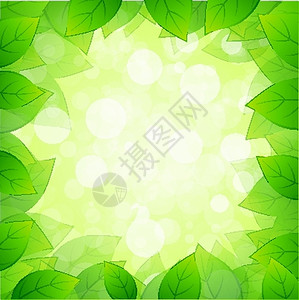 绿色树叶板背景图片
