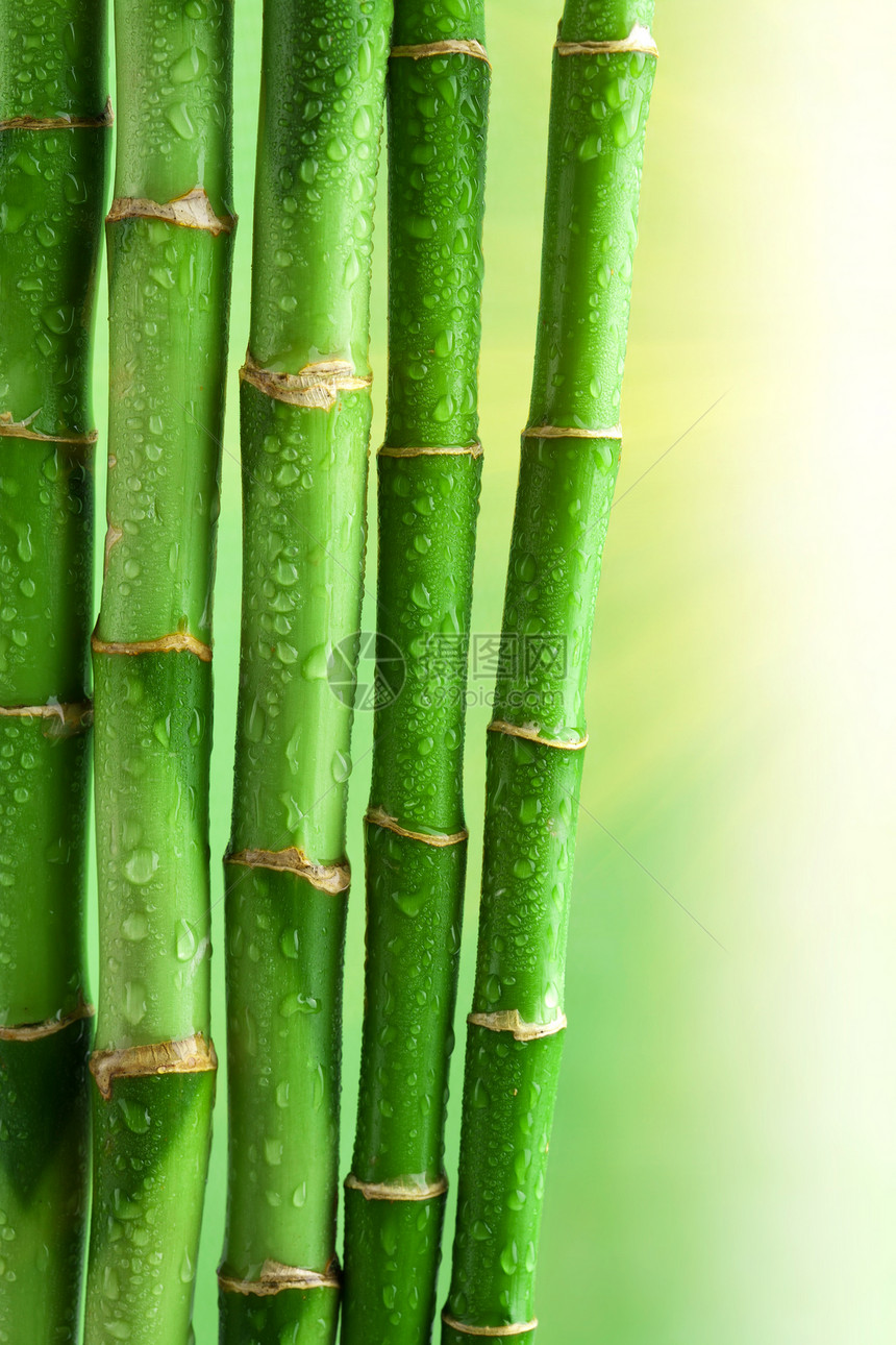 竹背景图片