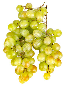 白色背景的一连串绿葡萄背景图片
