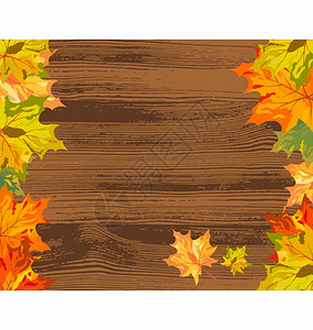 木板上的秋叶枫叶矢量图图片