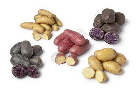 白种土豆的继承宝多姿背景图片