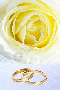 结婚戒指和灰色背景的玫瑰图片