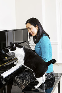 成人女子的垂直照片看着她家猫用爪子在钢琴键盘上高清图片